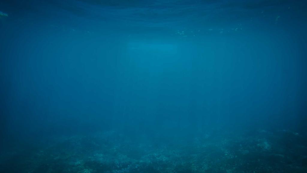 Your Roadmap to Passive Crypto Income: A Step-by-Step Investment Guide