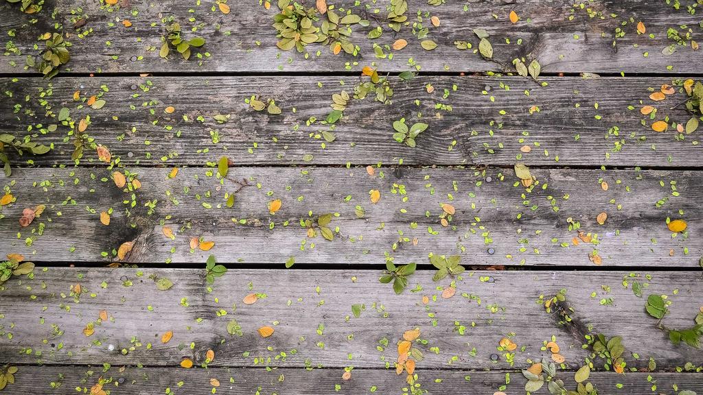 Navigating the Digital Frontier: Building a Robust Crypto Passive Income Portfolio