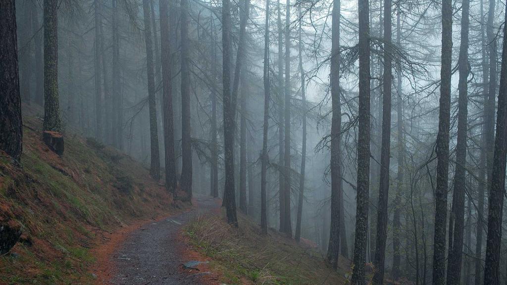 Crypto for Beginners: Unlock Passive Income & Build Your Digital Portfolio