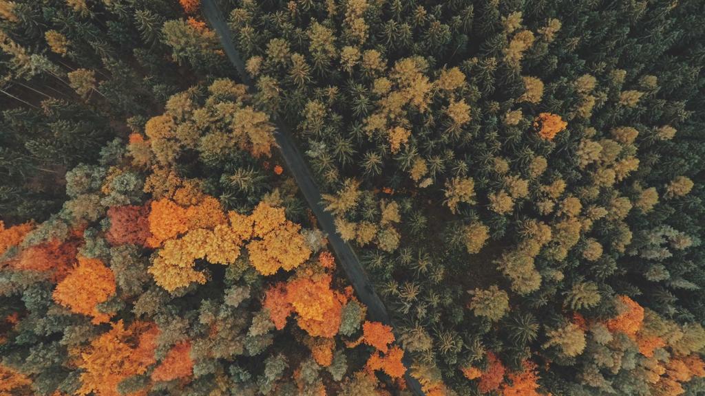 Mastering Crypto: Building a Resilient Passive Income Portfolio in the Digital Age