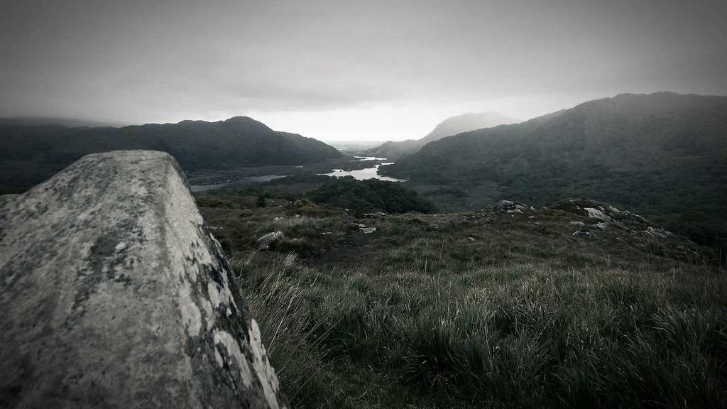 Mastering Cryptocurrency for Passive Income and Robust Portfolio Growth: An Expert's Guide