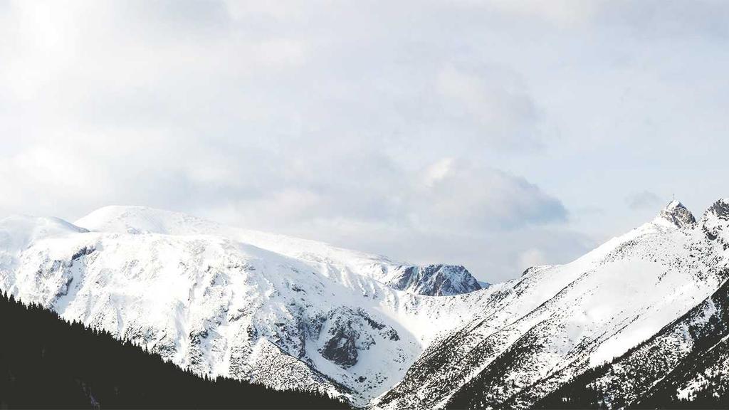 Unlocking Crypto's Passive Potential: A Senior Investor's Guide to Sustainable Digital Wealth