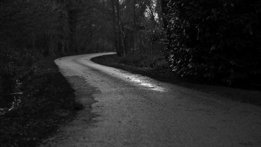 Unlocking Passive Income with Cryptocurrency: A Professional's Guide to Portfolio Optimization