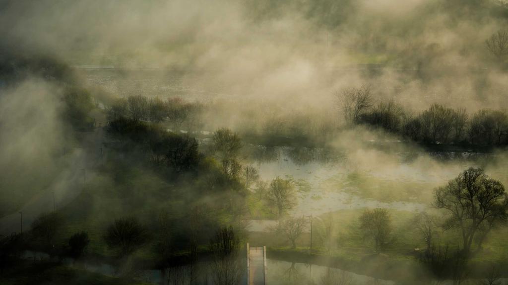 Unlocking Passive Income with Cryptocurrency: A Professional's Guide to Portfolio Optimization