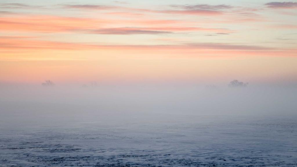 Unlock Passive Income with Crypto: A Beginner's Guide to Building Your Portfolio