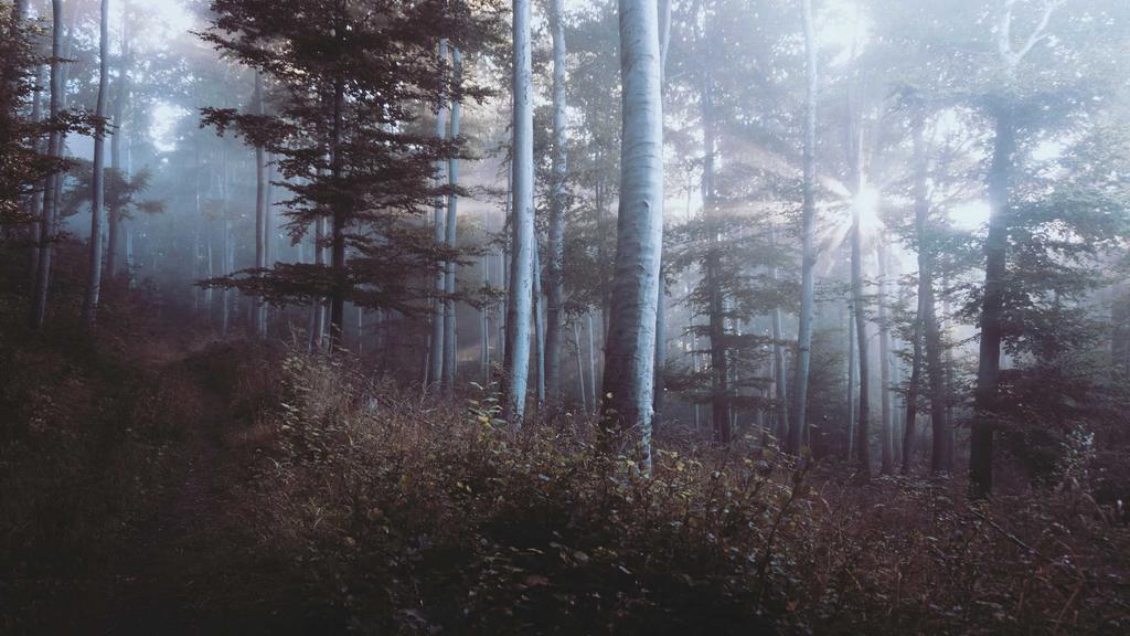 Unlock Passive Income with Crypto: A Beginner's Guide to Building Your Portfolio