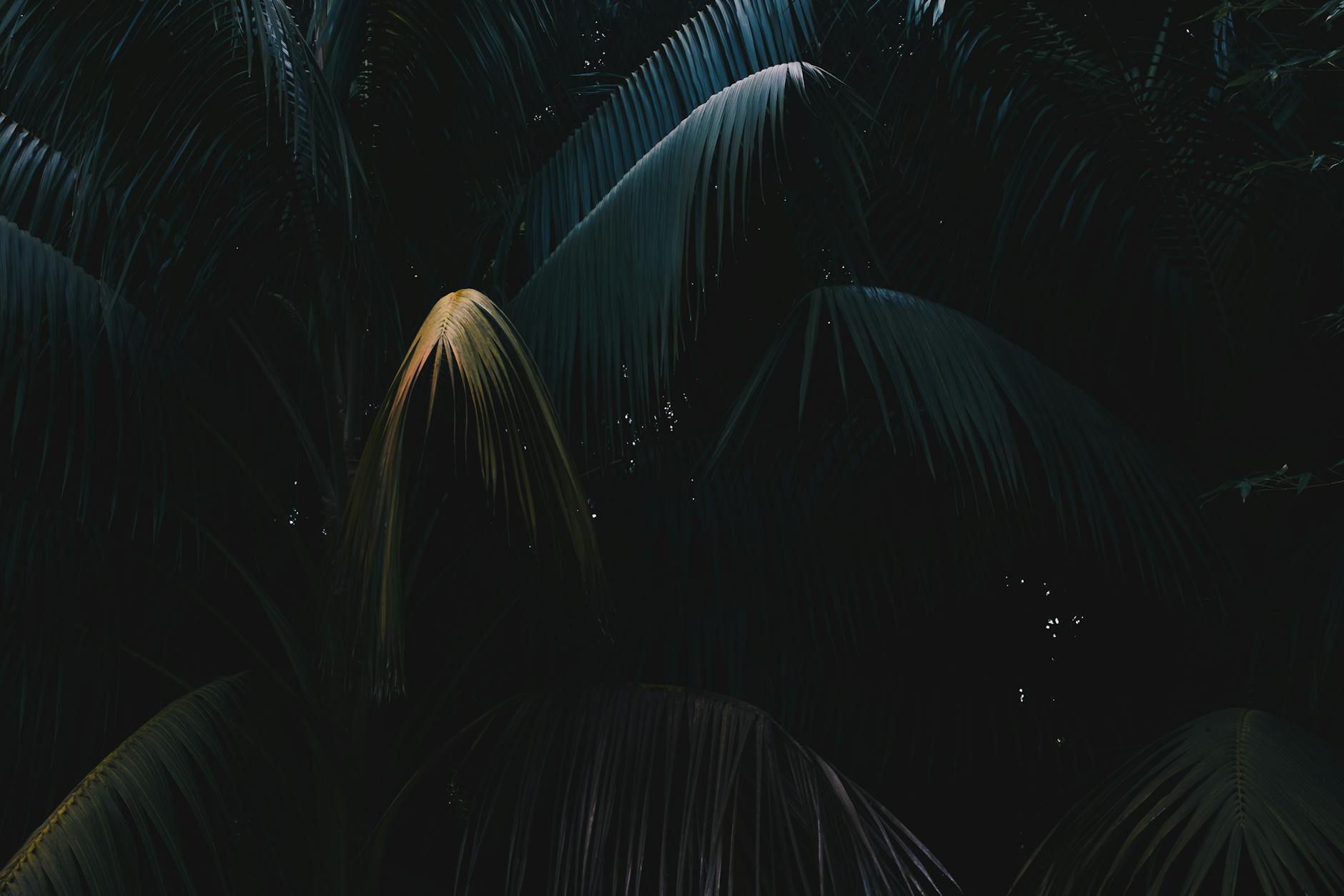 Mastering Crypto Passive Income: A Step-by-Step Guide to Building a Resilient Digital Portfolio