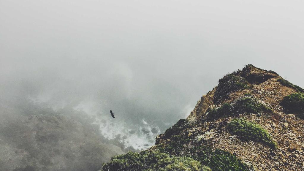 Unlocking Passive Income with Cryptocurrency: Your Beginner's Guide to Building a Crypto Portfolio