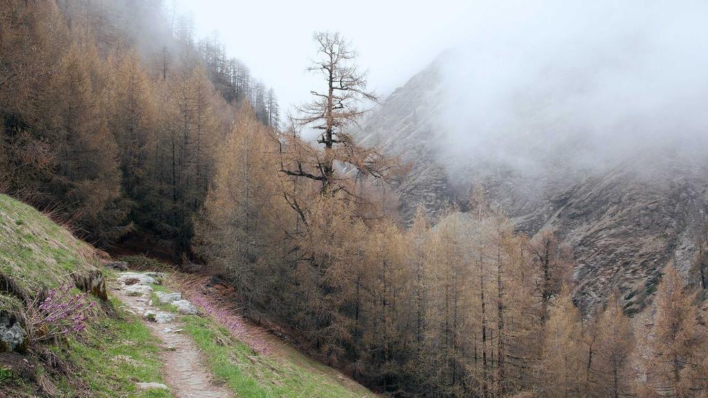 Unlocking Passive Income with Cryptocurrency: Your Beginner's Guide to Building a Crypto Portfolio