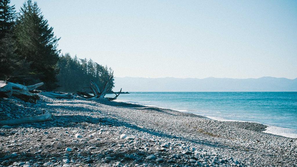 Architecting Financial Freedom: A Data-Driven Approach to Cryptocurrency Passive Income Portfolios